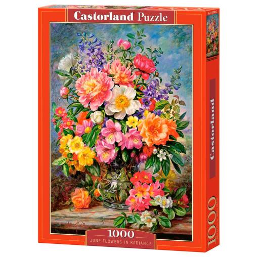 Puzzle Castorland Flores de Junio Radiantes de 1000 Piezas