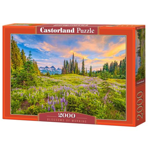 Puzzle Castorland Flores de la Mañana de 2000 Piezas