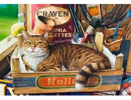 Puzzle Castorland Fothergill, El Gato en la Caja de 500 Piezas