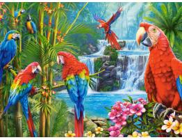 Puzzle Castorland Grupo de Loros de 2000 Piezas