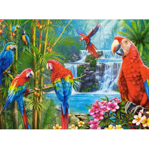 Puzzle Castorland Grupo de Loros de 2000 Piezas