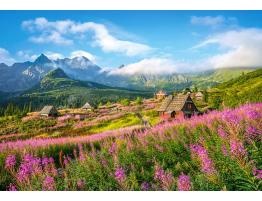 Puzzle Castorland Hala Gasienicowa, Tatra, Polonia de 1000 Pzs