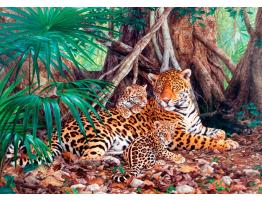 Puzzle Castorland Jaguares en la Jungla de 3000 Piezas