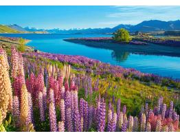 Puzzle Castorland Lago Tekapo, Nueva Zelanda de 500 Piezas