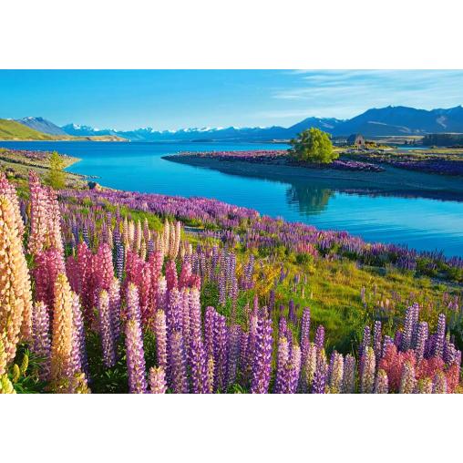 Puzzle Castorland Lago Tekapo, Nueva Zelanda de 500 Piezas