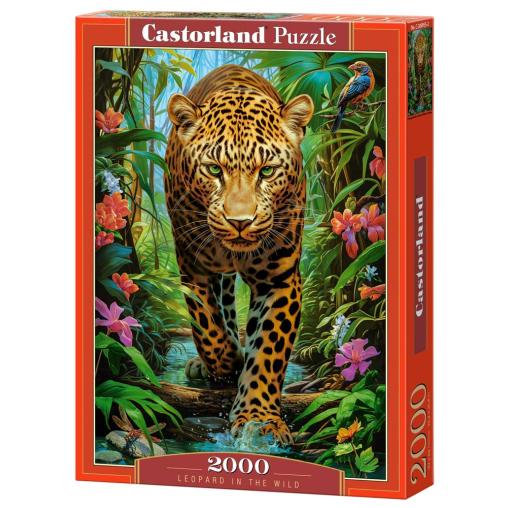 Puzzle Castorland Leopardo En Estado Salvaje de 2000 Piezas