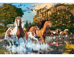 Puzzle Castorland La Tierra de los Caballos de 1000 Piezas