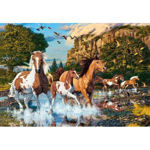 Puzzle Castorland La Tierra de los Caballos de 1000 Piezas