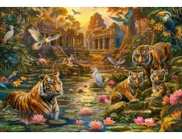 Puzzle Castorland Paraíso De Los Tigres de 1000 Piezas