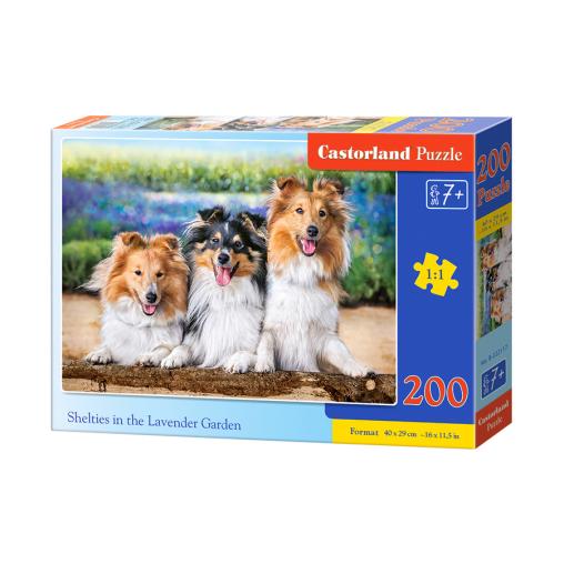 Puzzle Castorland Perros Shelties en las Lavandas de 200 Pzs