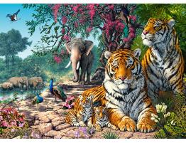 Puzzle Castorland Santuario de los Tigres de 300 Piezas