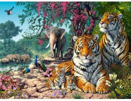 Puzzle Castorland Santuario de Tigres de 3000 Piezas