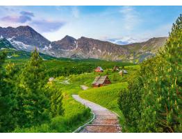 Puzzle Castorland Sendero en Tatras, Polonia de 500 Piezas