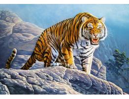 Puzzle Castorland Tigre en las Rocas de 500 Piezas