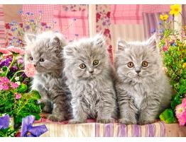 Puzzle Castorland Tres Gatitos Grises de 260 Piezas