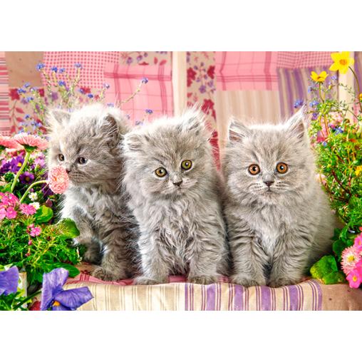 Puzzle Castorland Tres Gatitos Grises de 260 Piezas