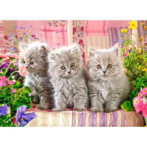 Puzzle Castorland Tres Gatitos Grises de 300 Piezas