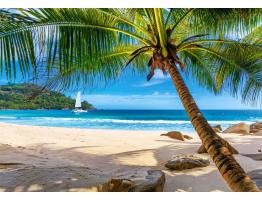 Puzzle Castorland Vacaciones en Seychelles de 500 Piezas