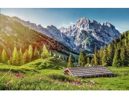 Puzzle Castorland Verano en los Alpes de 500 Piezas