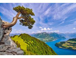 Puzzle Castorland Vista del Lago Uri, Suiza de 1000 Piezas