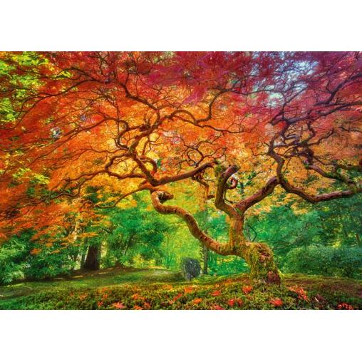 Puzzle Cherry Pazzi Árbol Salpicado Rojizo de 1000 Piezas