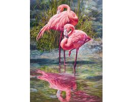 Puzzle Cherry Pazzi Flamencos de 1000 Piezas