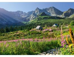 Puzzle Cherry Pazzi Hala Gasienicowa, montañas Tatra de 1000 Pz