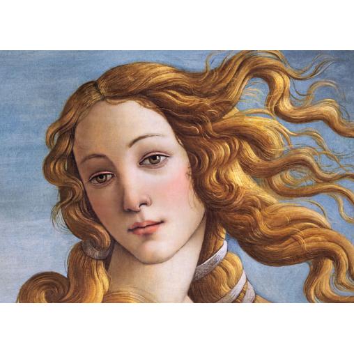 Puzzle Cherry Pazzi Retrato de Venus de 1000 Piezas