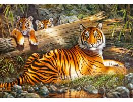 Puzzle Cherry Pazzi Tigre en Calma de 1000 Piezas