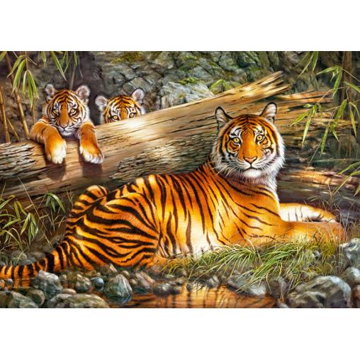 Puzzle Cherry Pazzi Tigre en Calma de 1000 Piezas