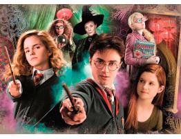 Puzzle Clementoni Harry Potter de 104 Piezas