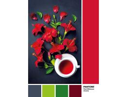 Puzzle Clementoni PANTONE 186, Aroma de Flor de Hibisco de 1000