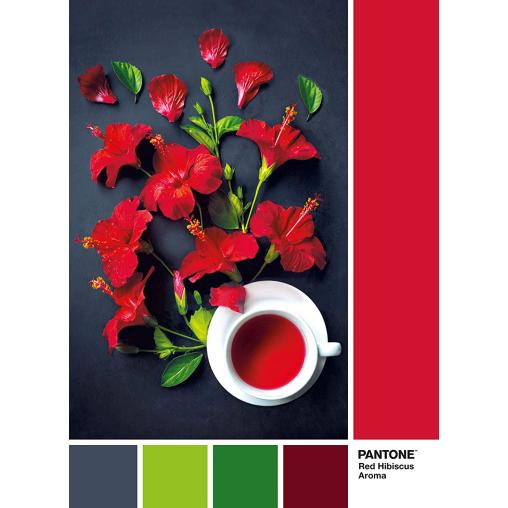 Puzzle Clementoni PANTONE 186, Aroma de Flor de Hibisco de 1000