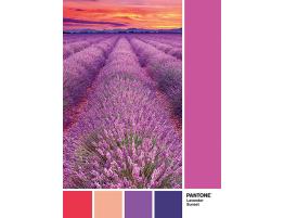 Puzzle Clementoni PANTONE 674, Campo de Lavandas de 1000 Piezas