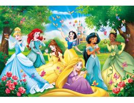 Puzzle Clementoni Princesas Disney Maxi 60 Piezas