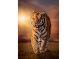 Puzzle Clementoni Tigre al Atardecer de 1500 Piezas