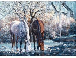 Puzzle Cobble Hill Caballos de Invierno XXL de 500 Piezas