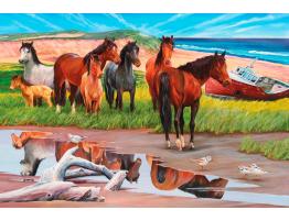 Puzzle Cobble Hill Caballos en Isla Sable de 2000 Piezas