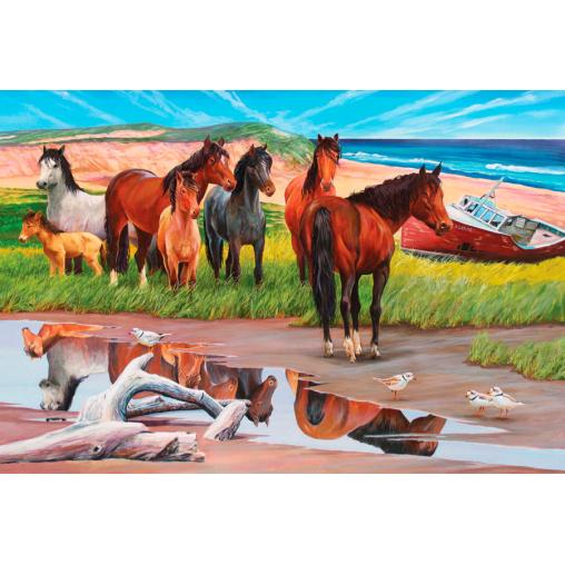 Puzzle Cobble Hill Caballos en Isla Sable de 2000 Piezas