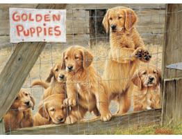 Puzzle Cobble Hill Cachorros de Golden de 500 Piezas XXL