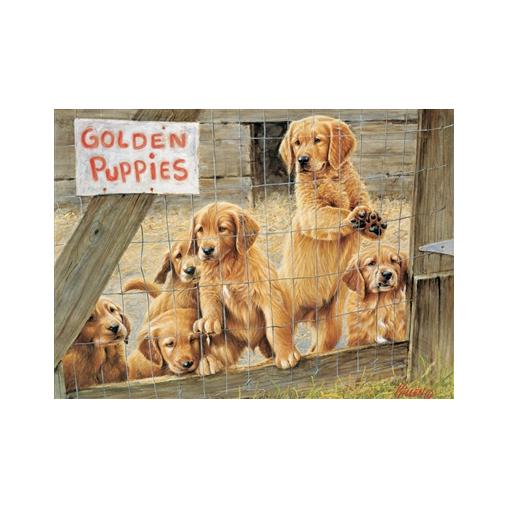 Puzzle Cobble Hill Cachorros de Golden de 500 Piezas XXL