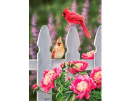 Puzzle Cobble Hill Cardenales y Peonias de 1000 Piezas