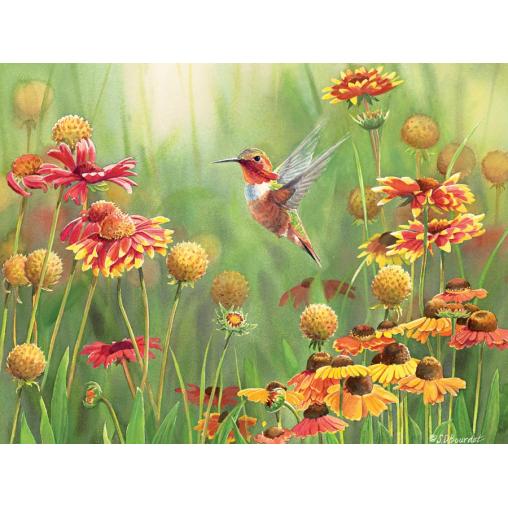 Cobble Hill Puzzle Colibri parmi les fleurs 500 pièces XXL