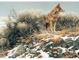 Cobble Hill Coyote dans l&#39;hiver froid Puzzle 1000 pièces