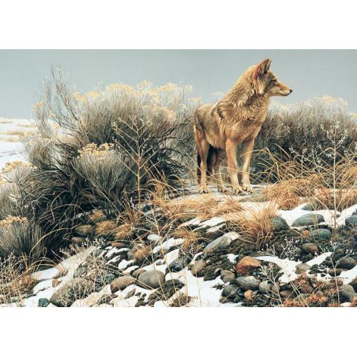 Cobble Hill Coyote dans l'hiver froid Puzzle 1000 pièces