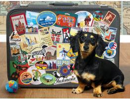 Puzzle Cobble Hill El Perro Salchicha Viajero XXL de 500 Pzs