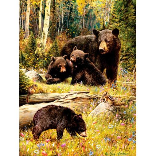 Casse-tête de 500 pièces de la famille des ours bruns de Cobble