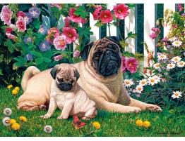 Puzzle Cobble Hill Familia de Pugs de 1000 Piezas