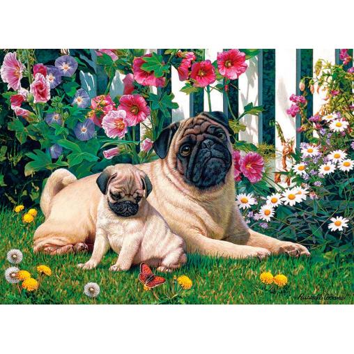 Puzzle Cobble Hill Familia de Pugs de 1000 Piezas