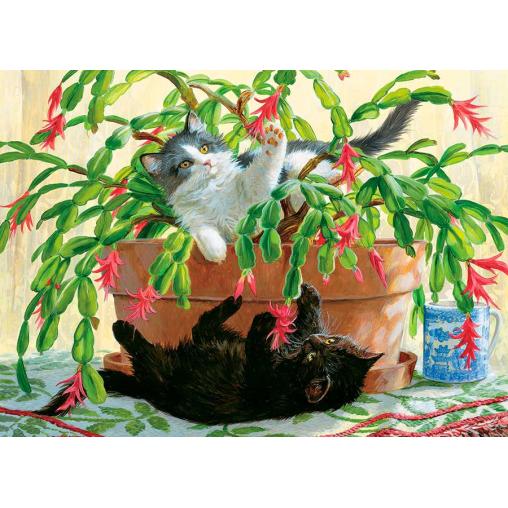 Puzzle Cobble Hill Gatitos y Cactus de 1000 Piezas